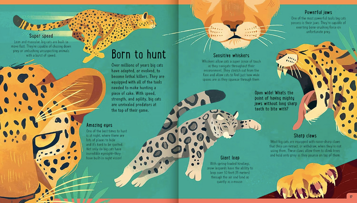 Day in the Life of Big Cats