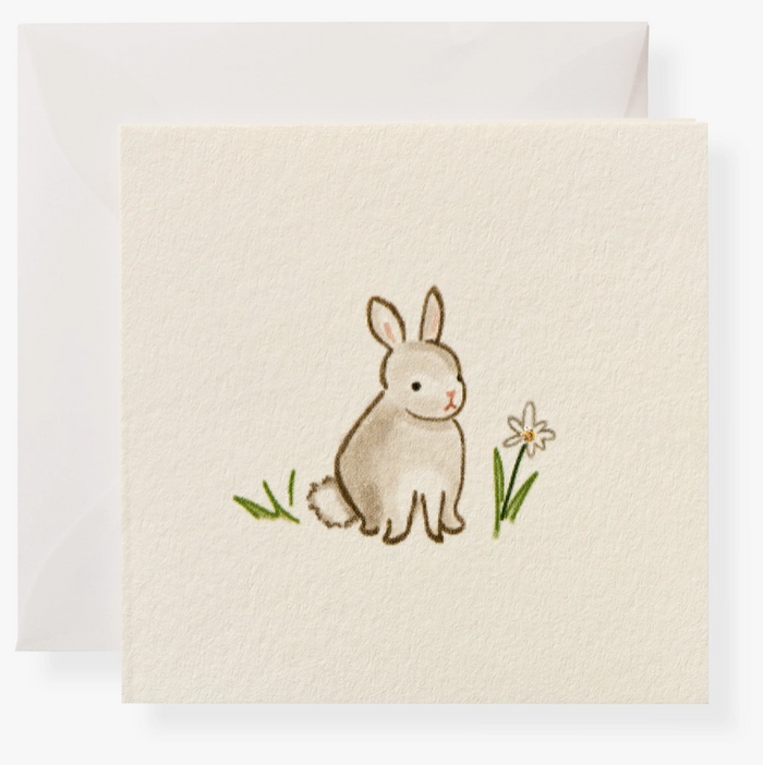 Enclosure Cards - Bunny