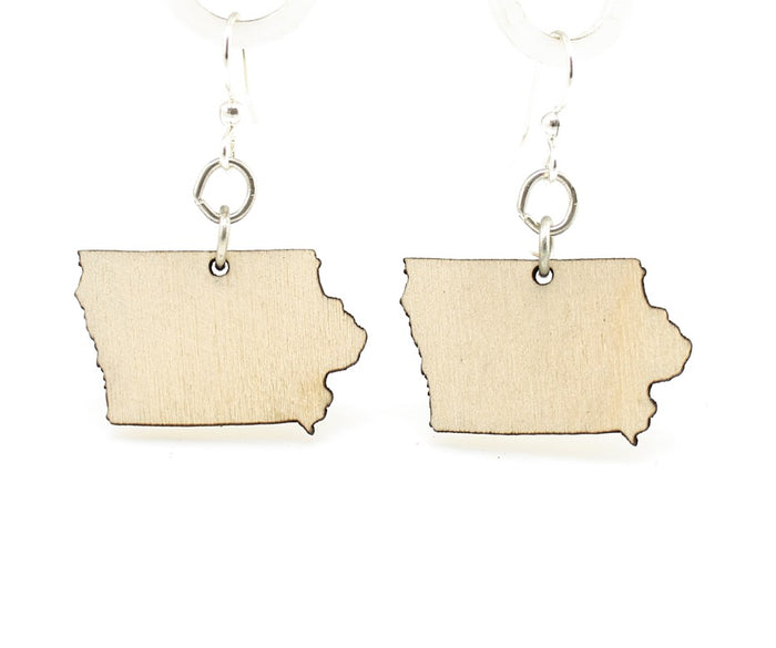 Iowa State Earrings - S015