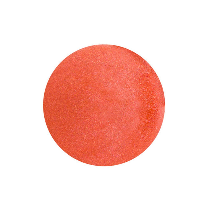 Luxury Lip Tint Eleish Van Breems Home