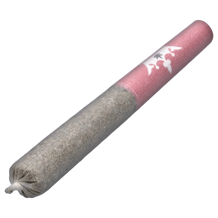 Angled close-up of the Red Jasper Infused PR 6 x 0.5 g showing a rolled gray paper joint with a pink branded filter tip and white leaf logo.