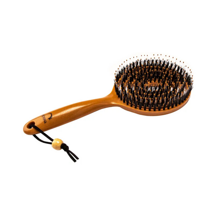 The Queen's Brush