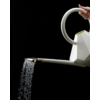 The Rose Sprinkler Head Eleish Van Breems Home