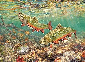 1000 Piece Jigsaw Puzzle - Brook Trout | Cobble Hill