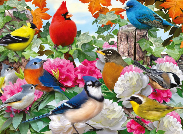 500 Piece Jigsaw Puzzle - Garden Birds | Ravensburger