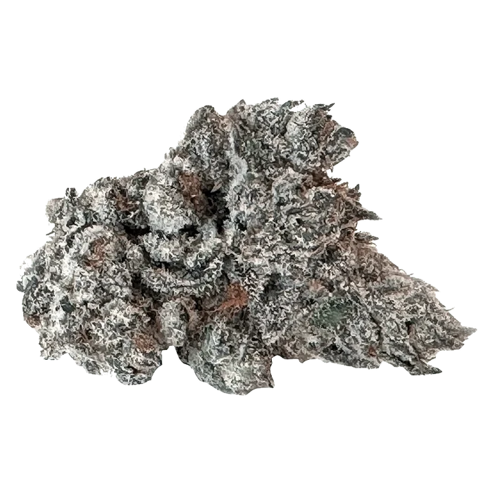 A close-up of the 91 Ox, showcasing its textured surface and unique organic shape against a plain white background.