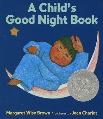 A Child's Good Night Book