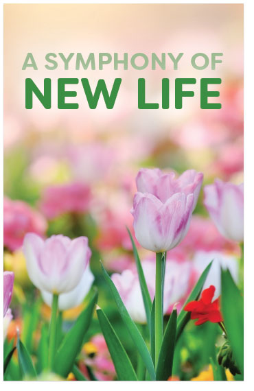 A Symphony Of New Life