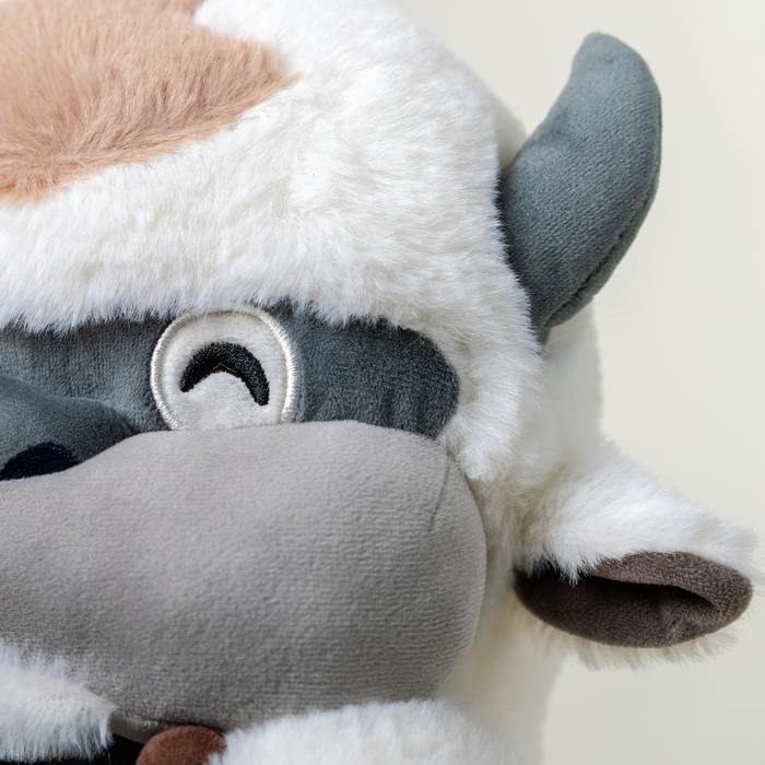 Appa Slippers