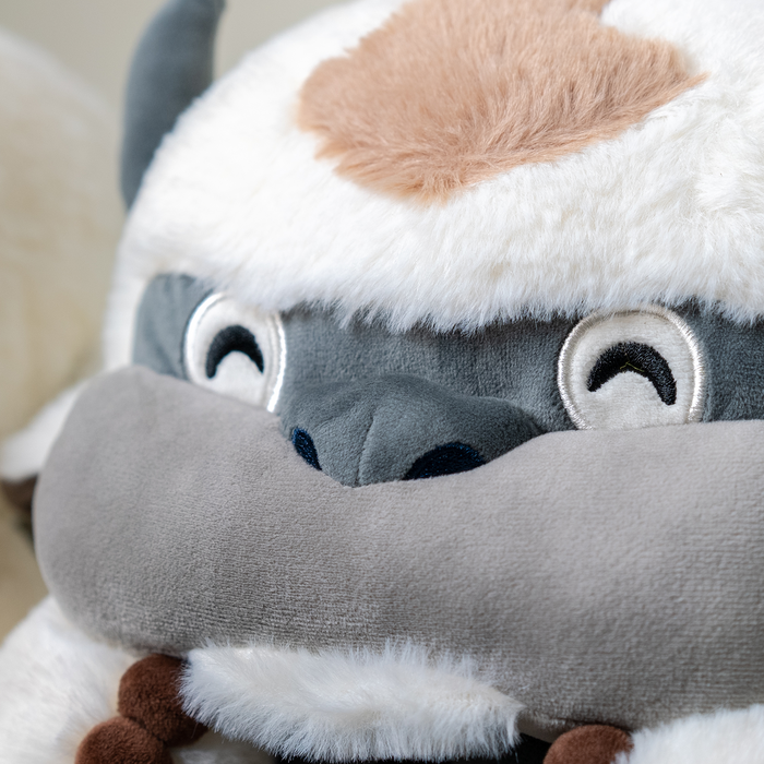 Appa Slippers
