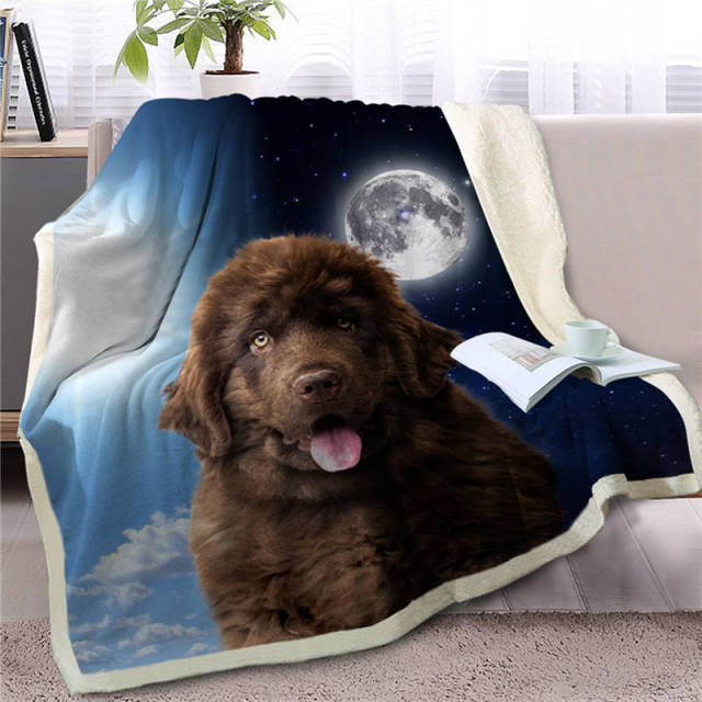 Dog 13 / 130cmx150cm
