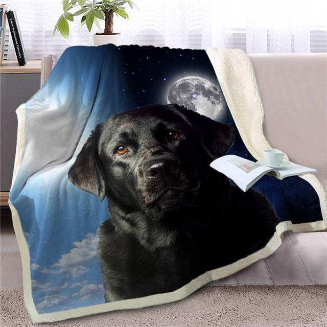 Dog 16 / 130cmx150cm