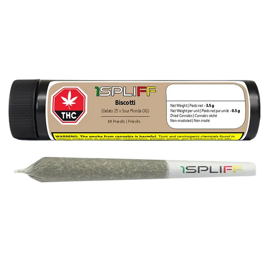 Horizontal studio shot of a clear pre-roll and black tube packaging labeled "1SPLIFF Biscotti PR 10 x 0.35 g" on white.