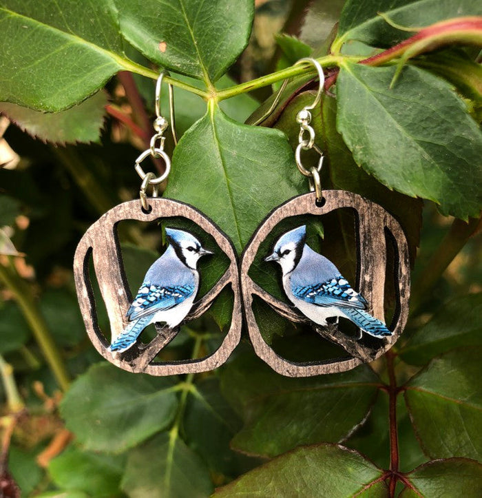 Blue Jay Earrings #1593