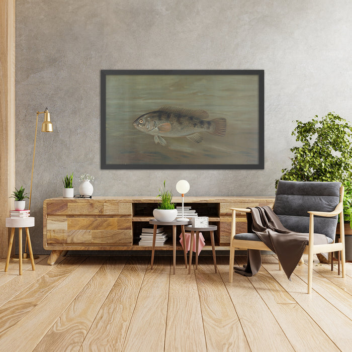 A framed image of