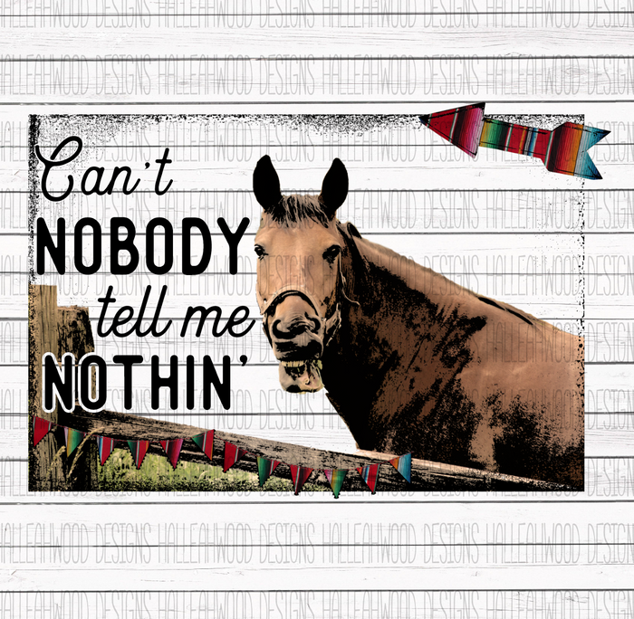 Can't Nobody Tell me Nothin'