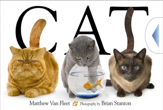 Cat Interactive PopUp Book
