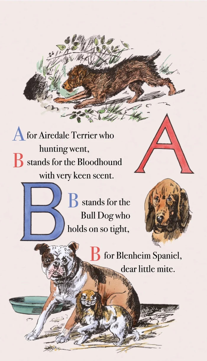 Children's Picture Book - Puppy Dog's ABC