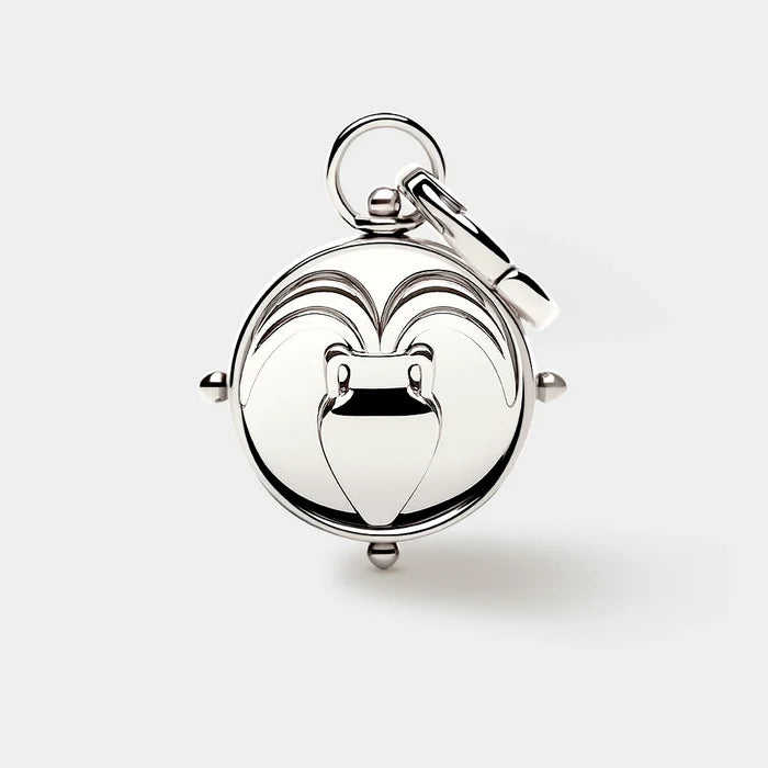 Coluri Aquarius Double Sided Silver Charm