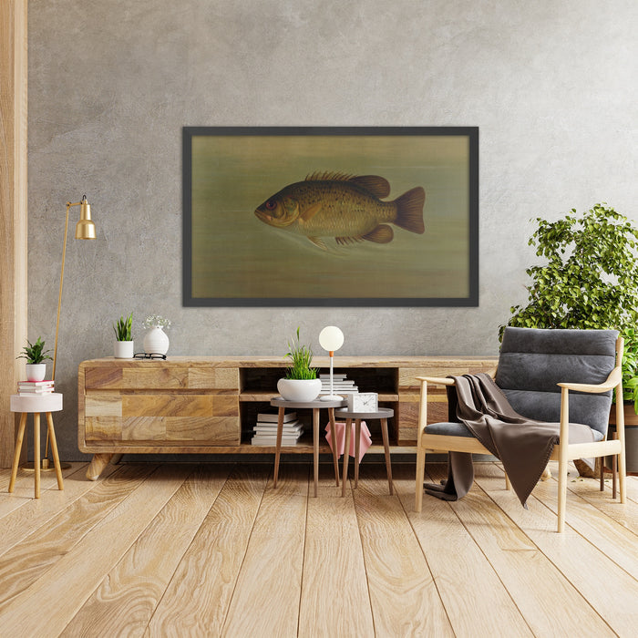 A framed image of