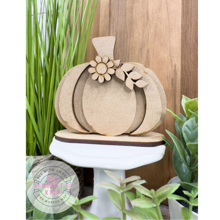 Cute Little Pumpkin DIY Kit