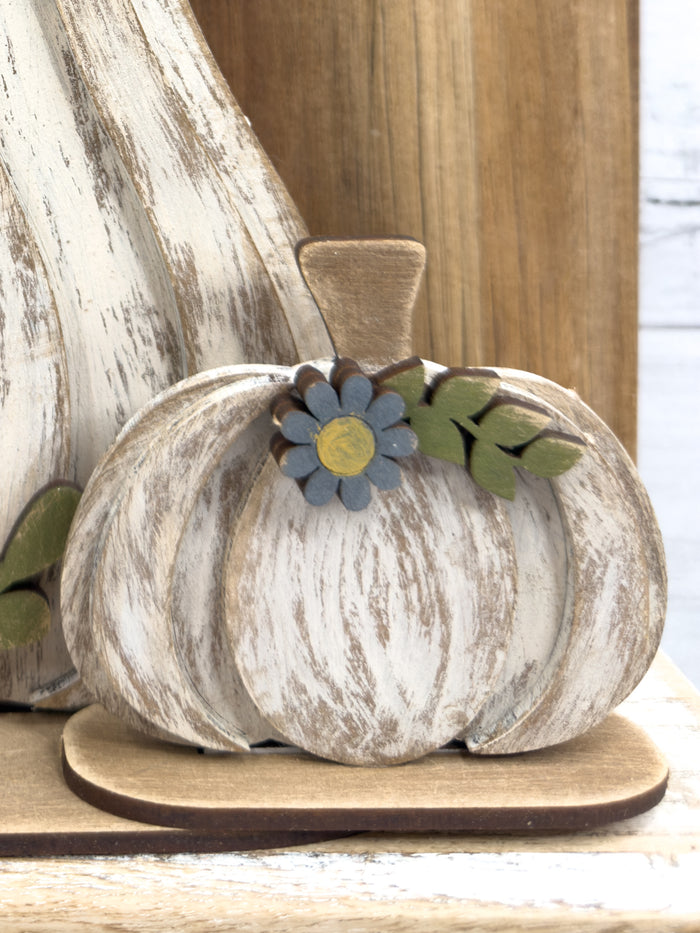 Cute Little Pumpkin DIY Kit