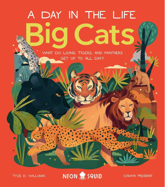 Day in the Life of Big Cats