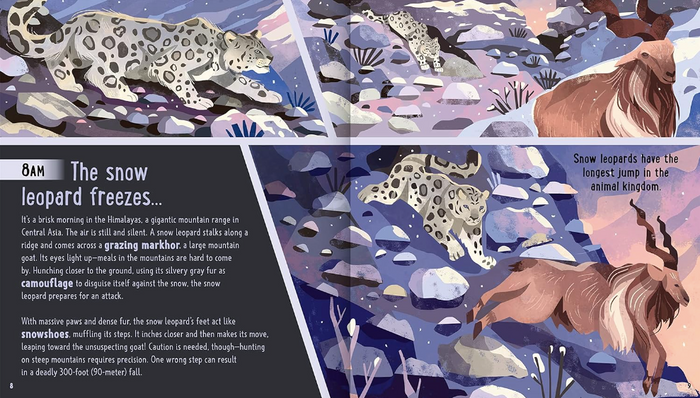 Day in the Life of Big Cats