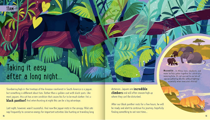 Day in the Life of Big Cats