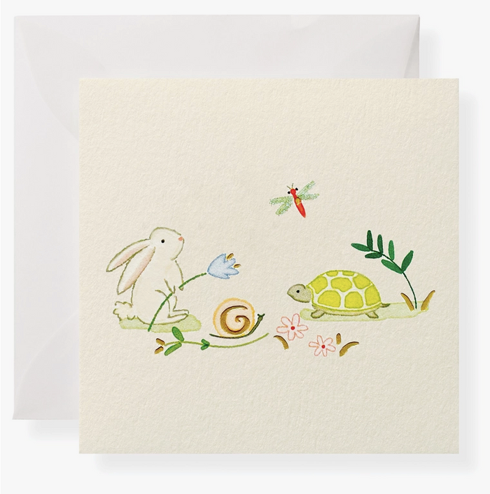 Enclosure Cards - Turtle & the Hare