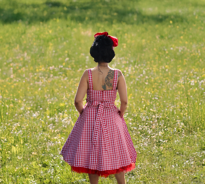 Flirty & Fun Red Gingham Dress Full Circle Skirt XS-3XL