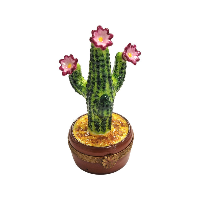 Flowering Cactus Limoges Box Porcelain Limoges Garden flowers limoges boxes French Trinket Box