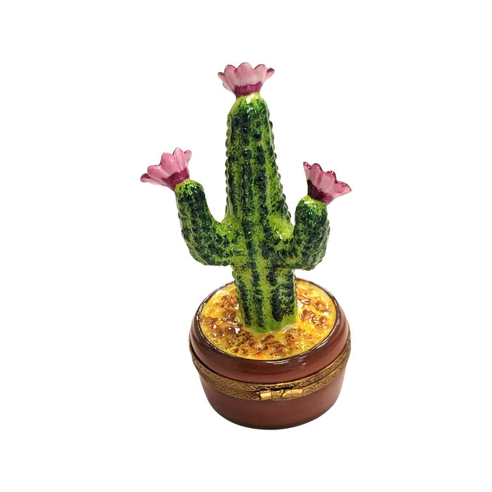 Flowering Cactus Limoges Box Porcelain Limoges Garden flowers limoges boxes French Trinket Box