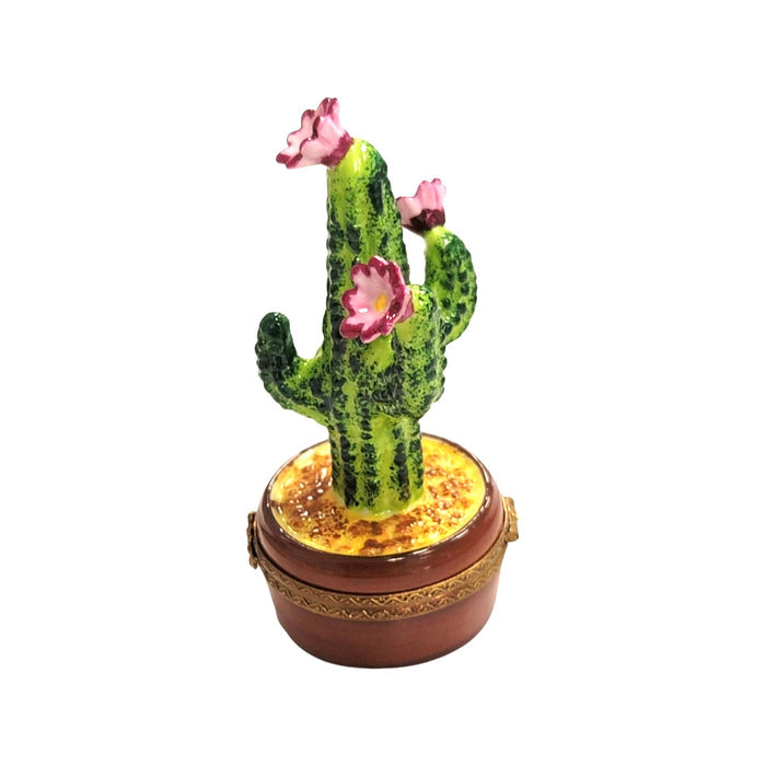 Flowering Cactus Limoges Box Porcelain Limoges Garden flowers limoges boxes French Trinket Box