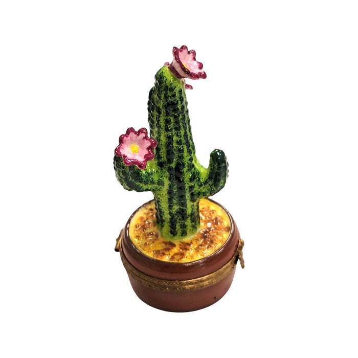 Flowering Cactus Limoges Box Porcelain Limoges Garden flowers limoges boxes French Trinket Box