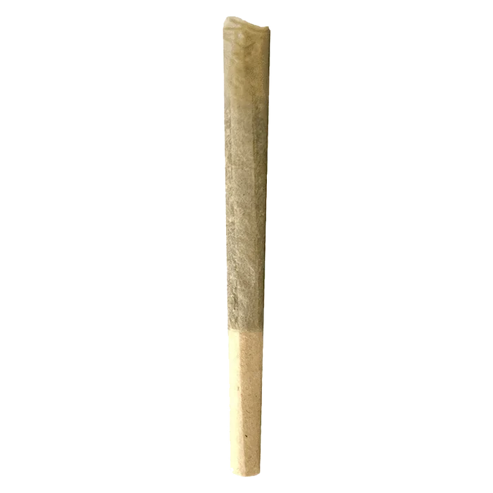 A close-up, angled view of the Gas N' Up Pre Rolled 3 x 0.5 g, showing its cylindrical shape and neutral color.