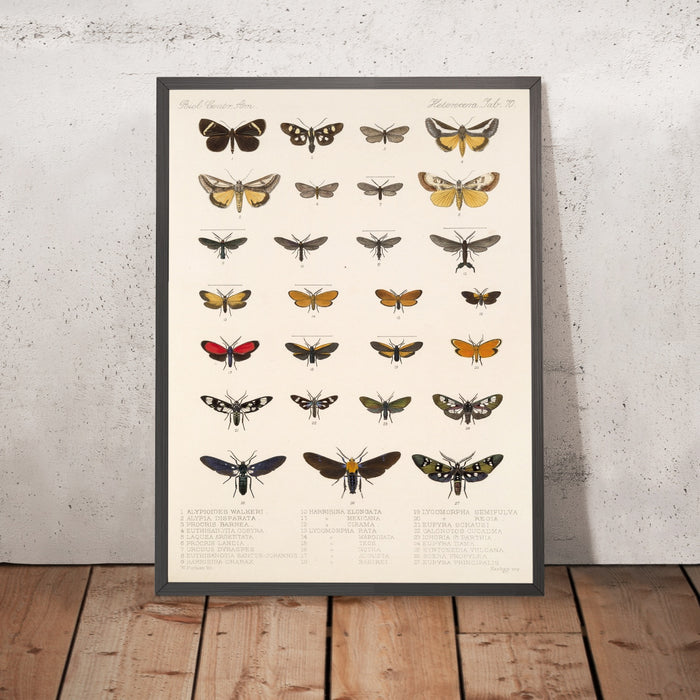 A framed image of