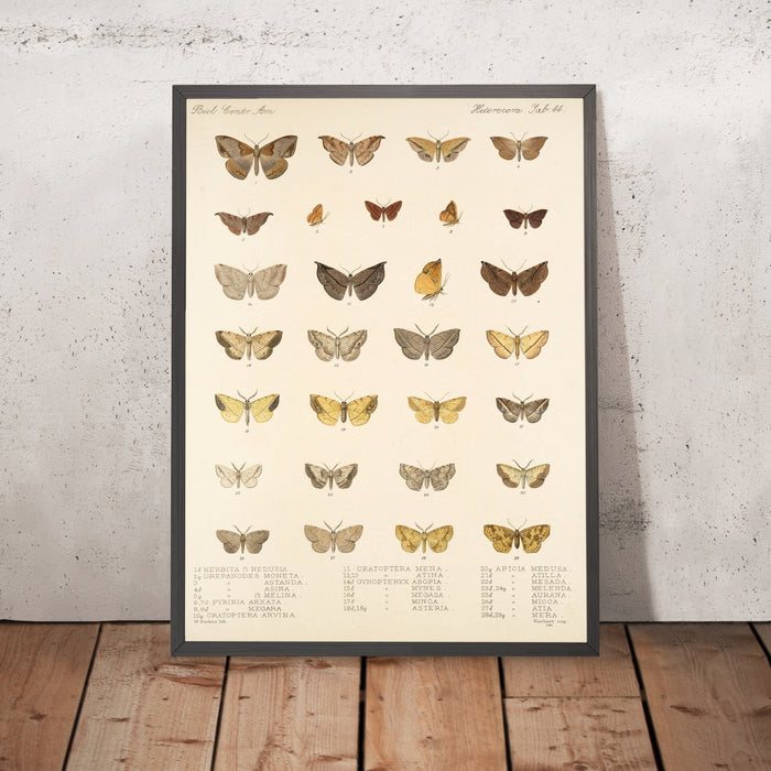 A framed image of