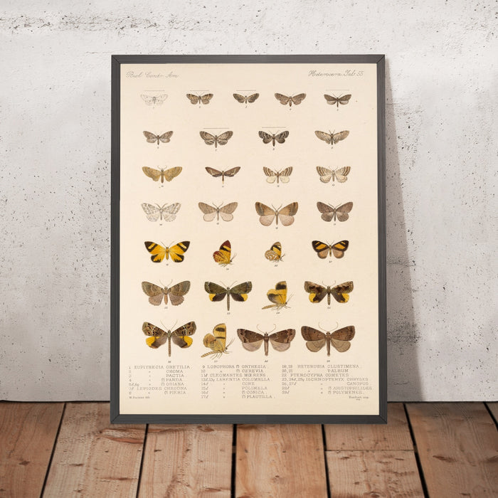 A framed image of