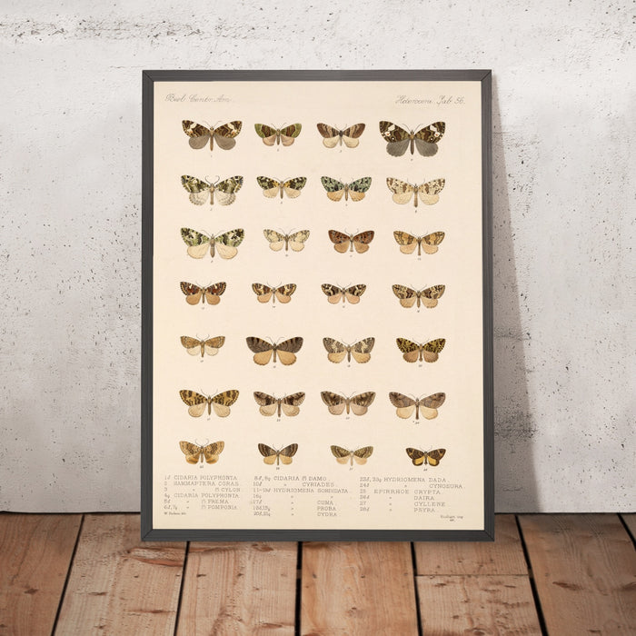 A framed image of