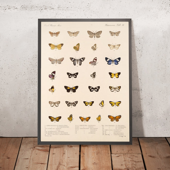 A framed image of
