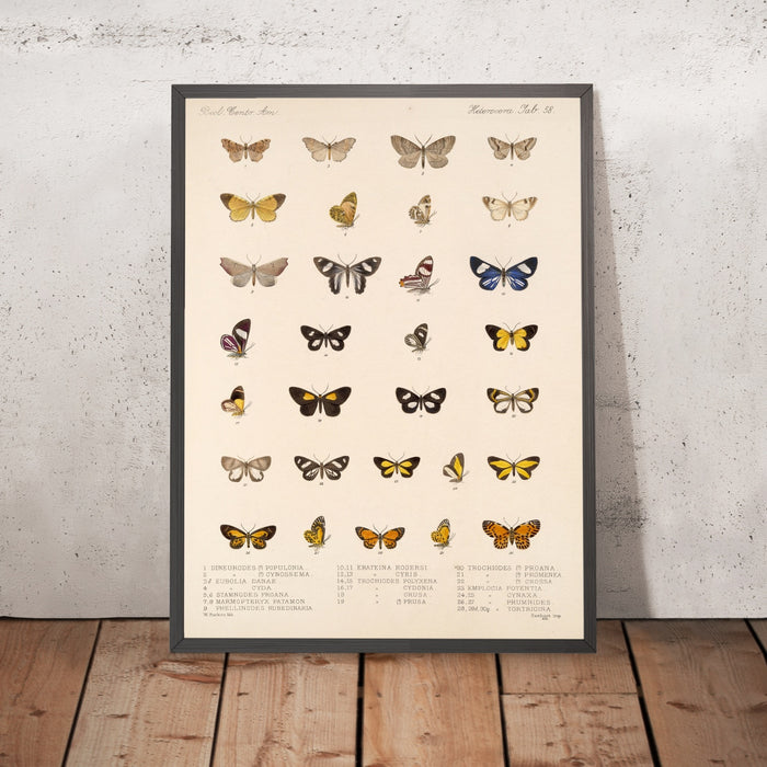 A framed image of