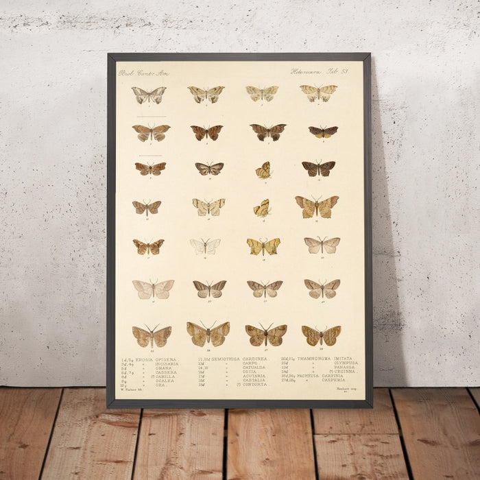 A framed image of