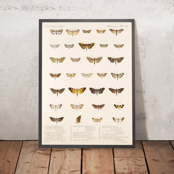 A framed image of