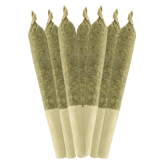 Close-up of seven Key Lime Pie Pre Rolled 0.5 g pre-rolls against a plain white background.