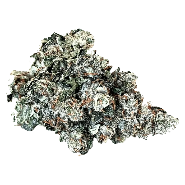 Close-up of the “Larry” bud, showcasing its dense, textured surface with rich green and brown hues.