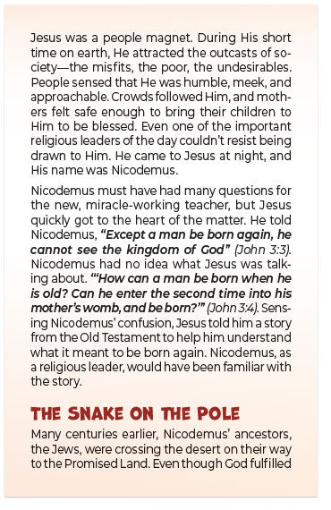 Look And Live (KJV)
