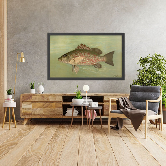 A framed image of