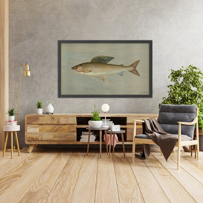 A framed image of