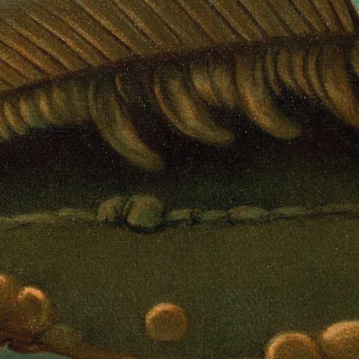 Mirror Carp (Cyprinus carpio) by John L. Petrie, 1898
